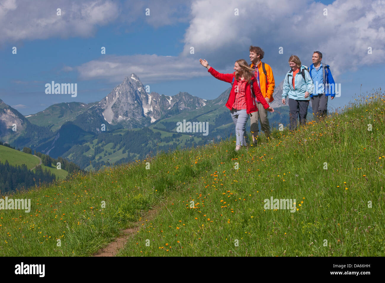 Viaggiatore, Saanenland, Gstaad, Canton Berna, montagna, montagne, giovane, coppie, sport estivi, sentiero, passeggiate, escursioni, trekking Foto Stock