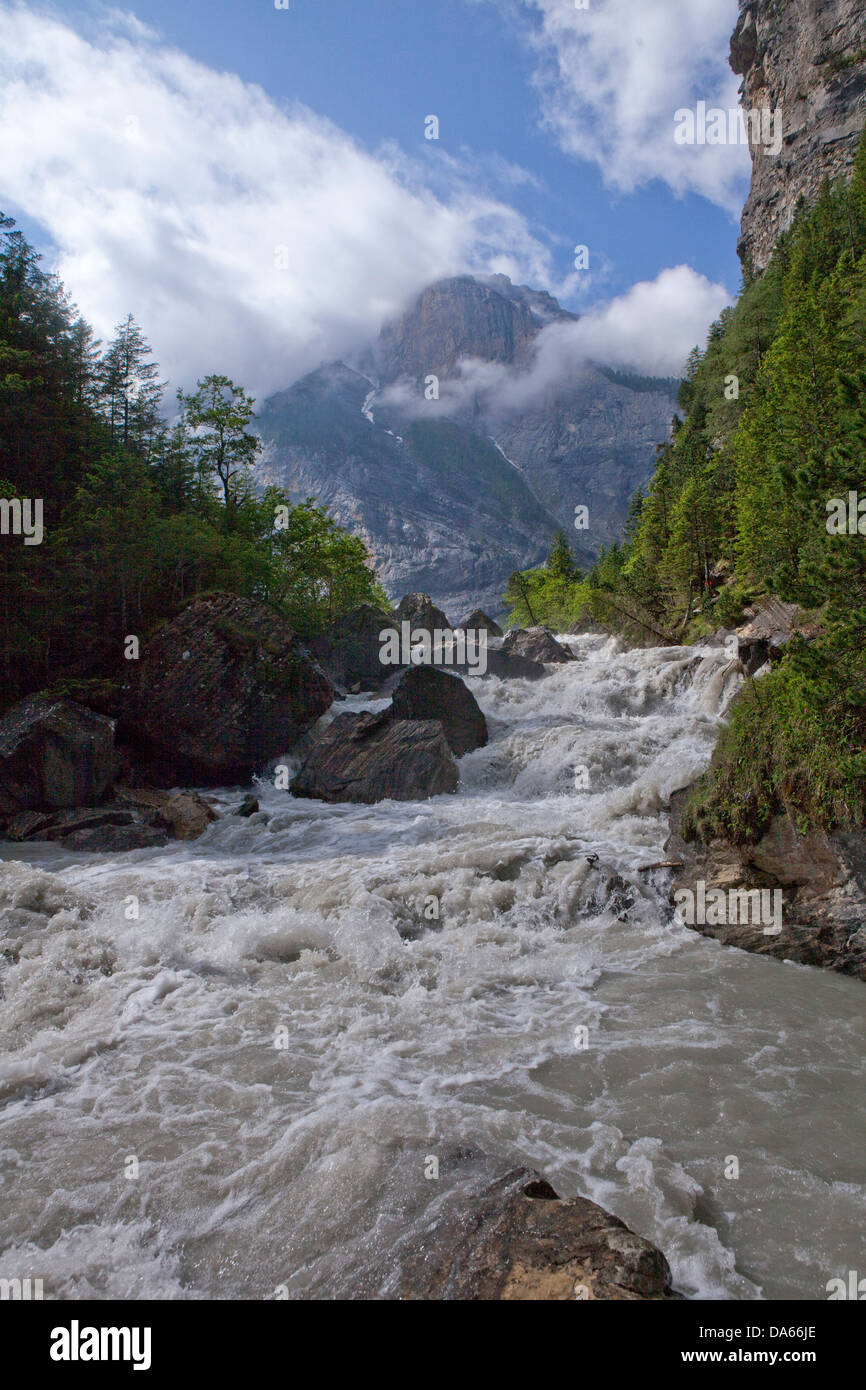 Wild, Gasterental, Kander, Canton Berna, fiume, flusso, Brook, corpo di acqua, acqua, Svizzera, Europa, Oberland bernese, natura Foto Stock