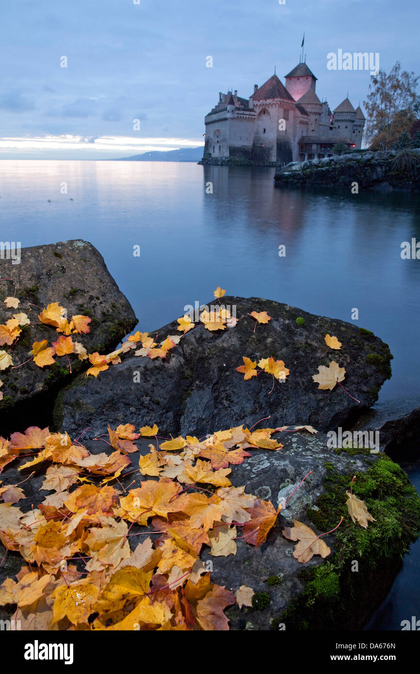 Castello di Chillon, sul lago di Ginevra, l'autunno, notte scura, castello, lago, laghi, Canton, VD, Vaud, Lac Leman, Svizzera, Europa, foglie Foto Stock
