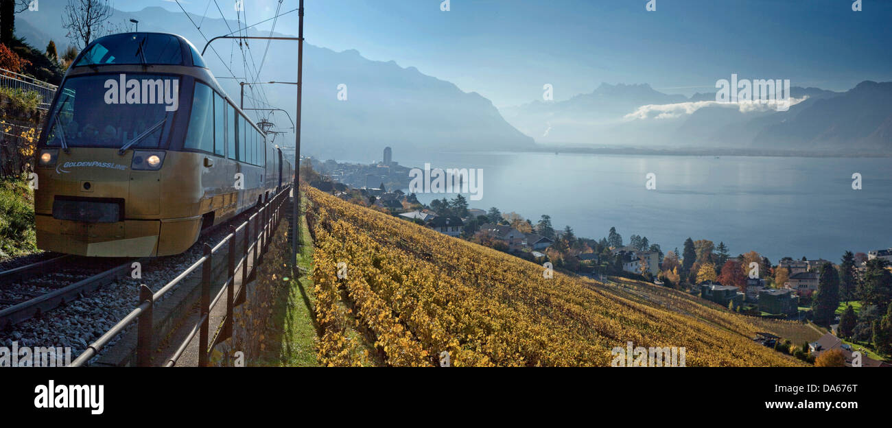 Golden Pass, treno express, sul lago di Ginevra, l'autunno, lago, laghi, Canton, VD, Vaud, sul lago di Ginevra, Lac Leman, vino, germogli, vino, su strada Foto Stock