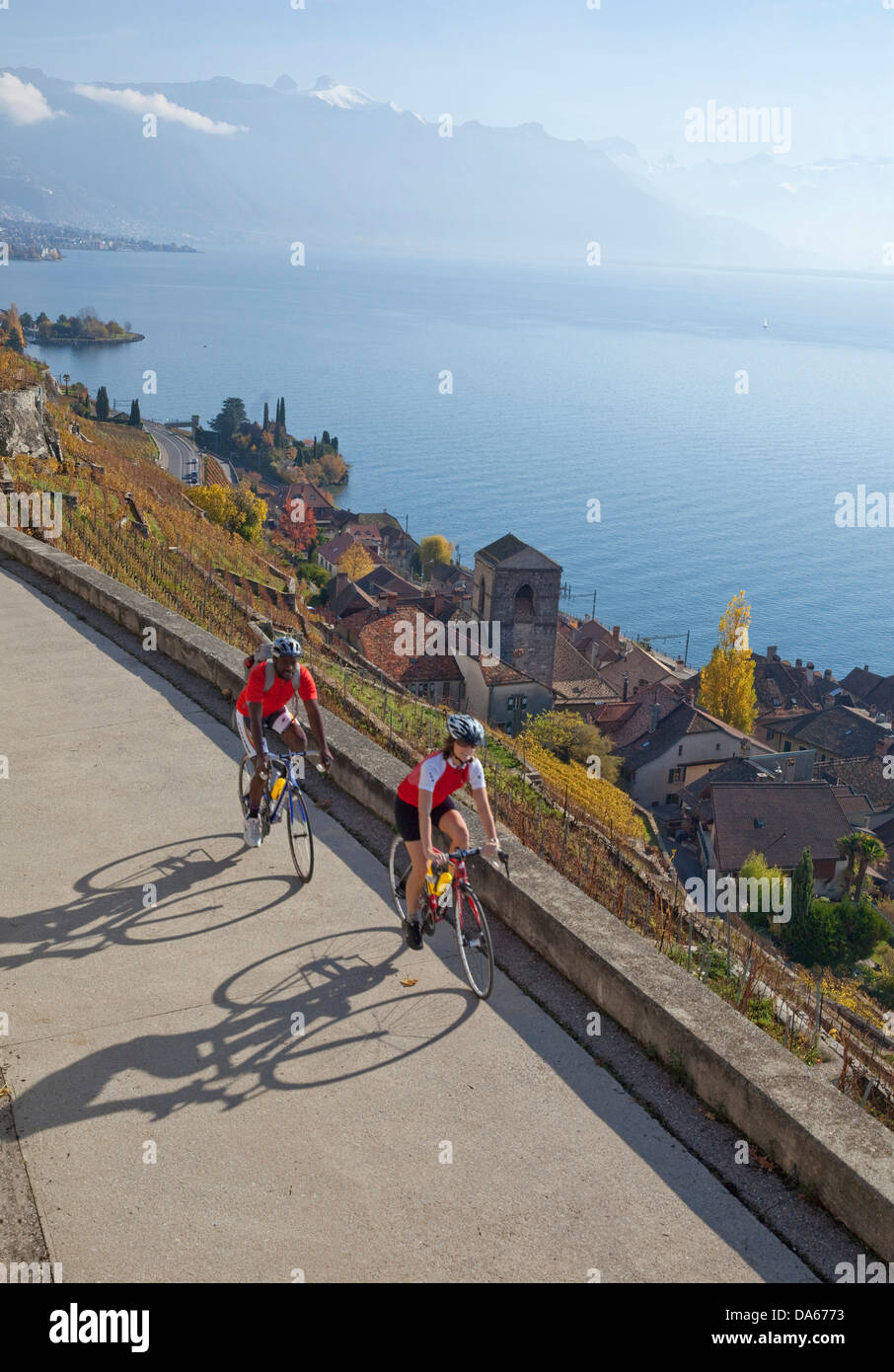 Ciclista, Saint Saphorin, Lavaux, autunno, castello, lago, laghi, Canton, VD, Vaud, sul lago di Ginevra, Lac Leman, bicicletta, biciclette, moto, Foto Stock