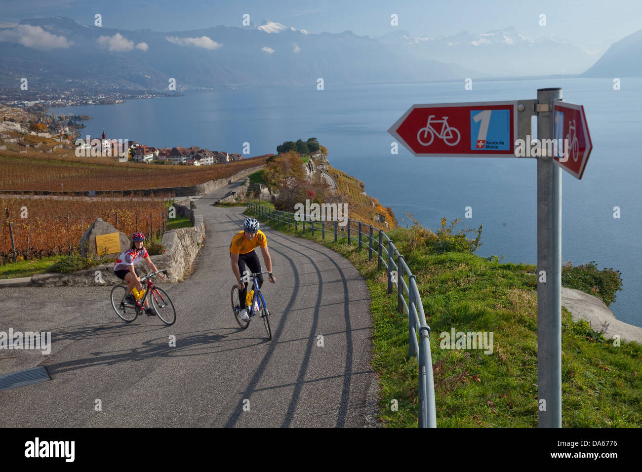Ciclista, Rivaz, pista ciclabile, Lavaux, autunno, castello, lago, laghi, Canton, VD, Vaud, sul lago di Ginevra, Lac Leman, bicicletta, biciclette, b Foto Stock
