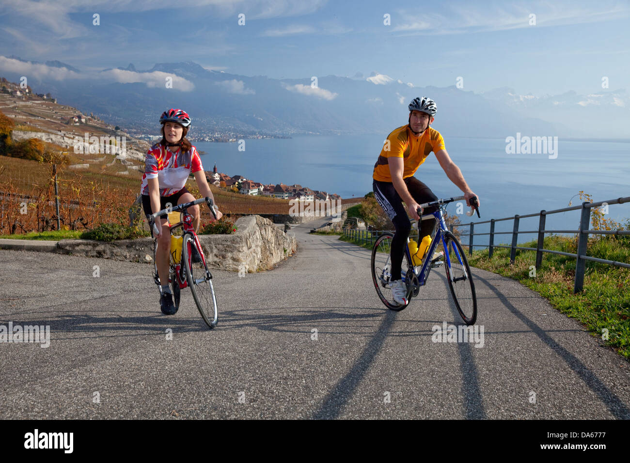 Ciclista, Rivaz, Lavaux, autunno, castello, lago, laghi, Canton, VD, Vaud, sul lago di Ginevra, Lac Leman, vino, germogli, vino, bicicletta, bicy Foto Stock