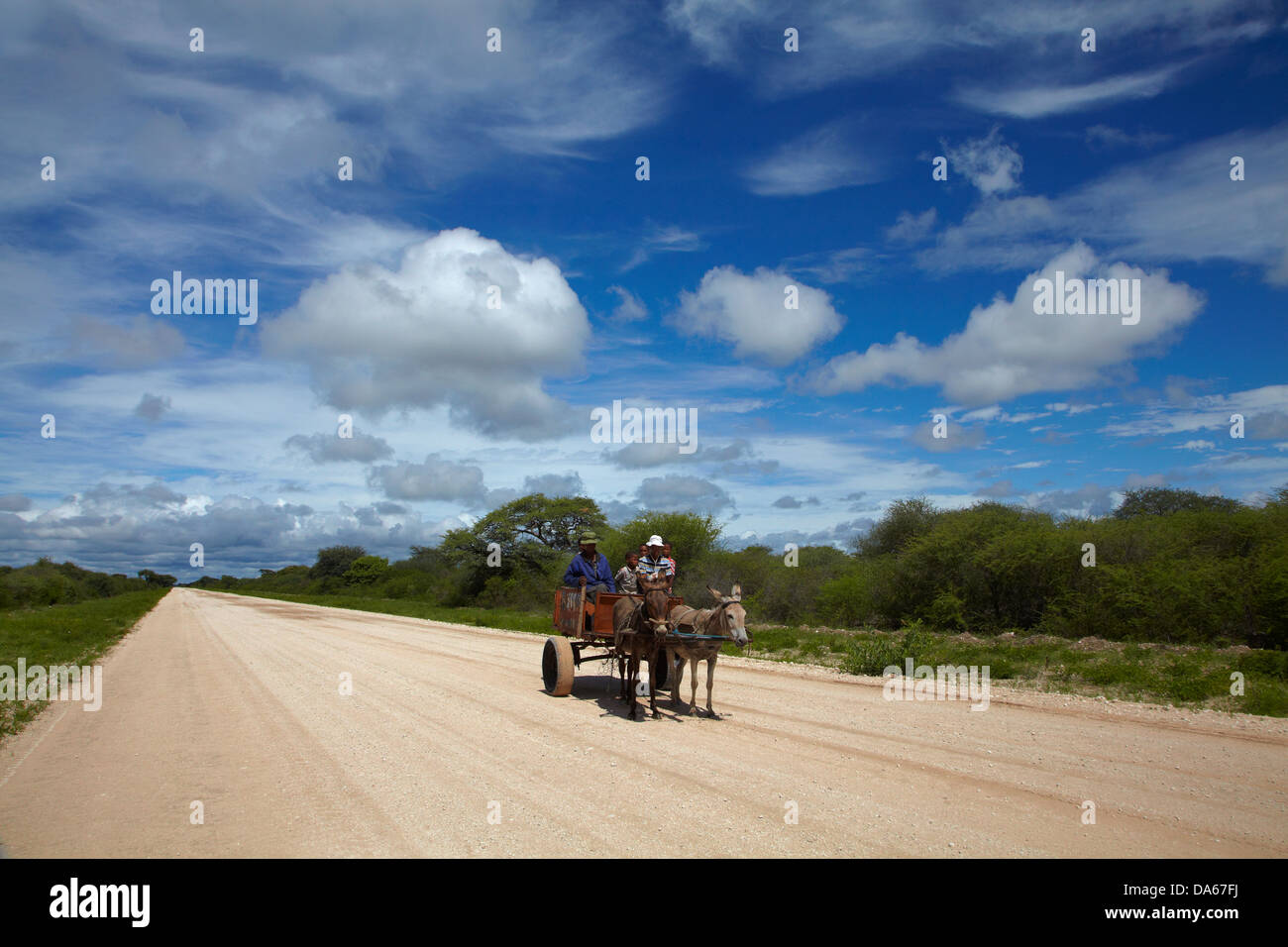 La famiglia sul carrello di asino, C44 road a Tsumkwe, Namibia, Africa Foto Stock