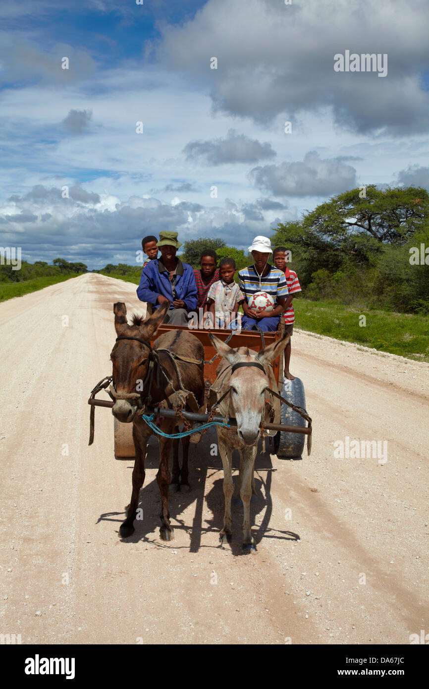 La famiglia sul carrello di asino, C44 road a Tsumkwe, Namibia, Africa Foto Stock