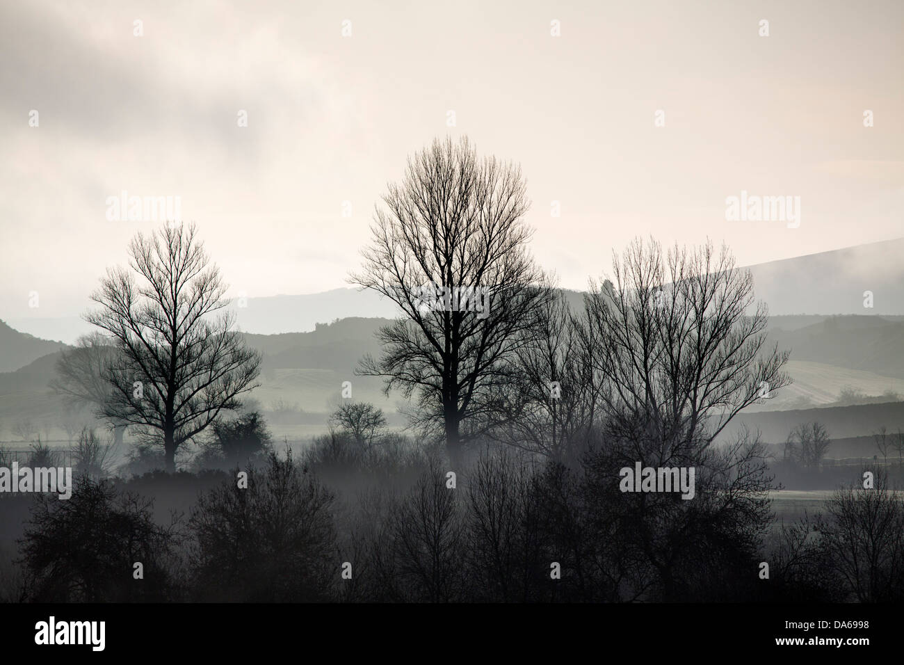La natura del paesaggio presso sunrise Burgos Castilla Leon Spagna Foto Stock