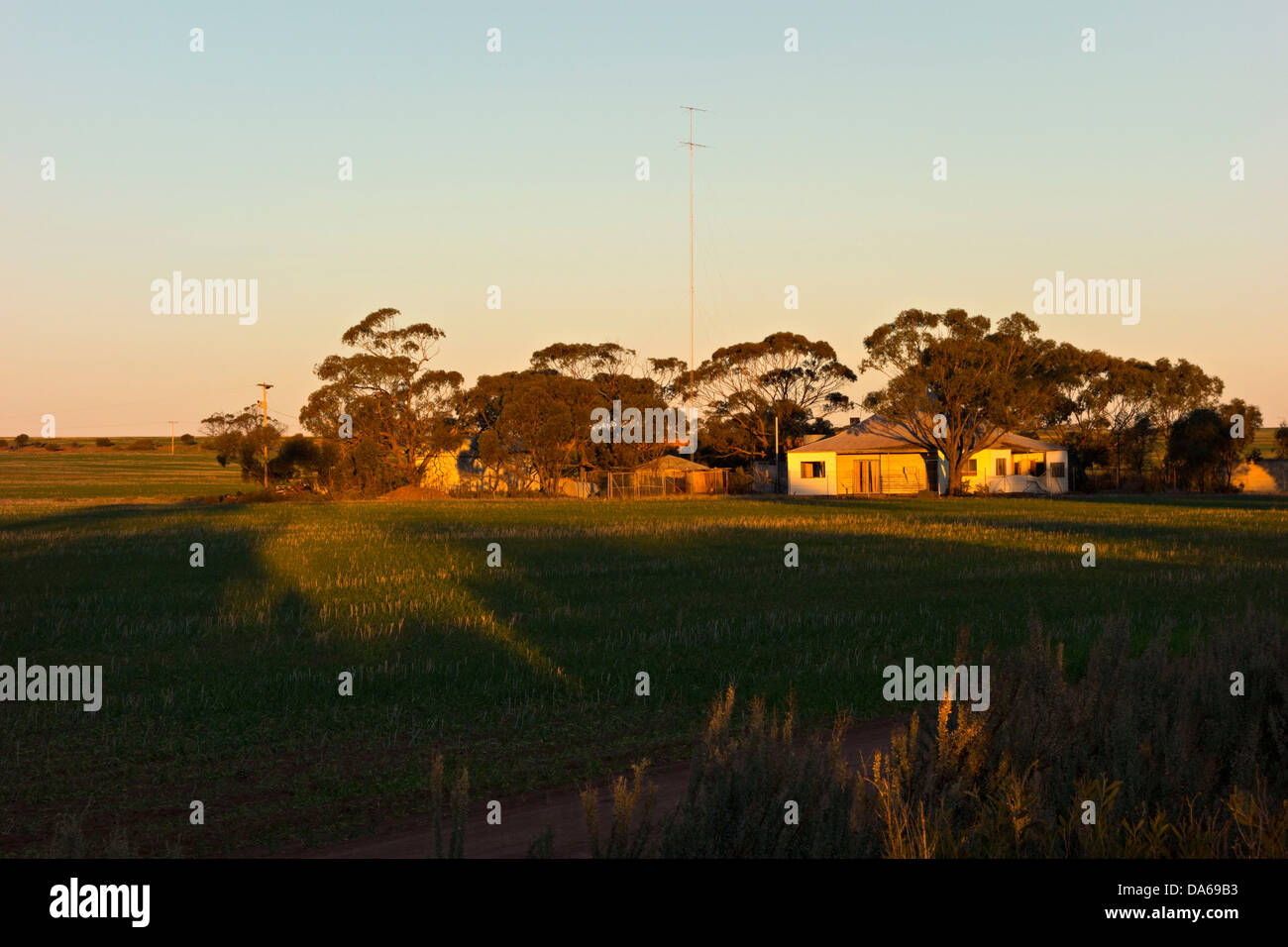 Agriturismo australiano al tramonto, pianure di Victoria, Australia occidentale Foto Stock