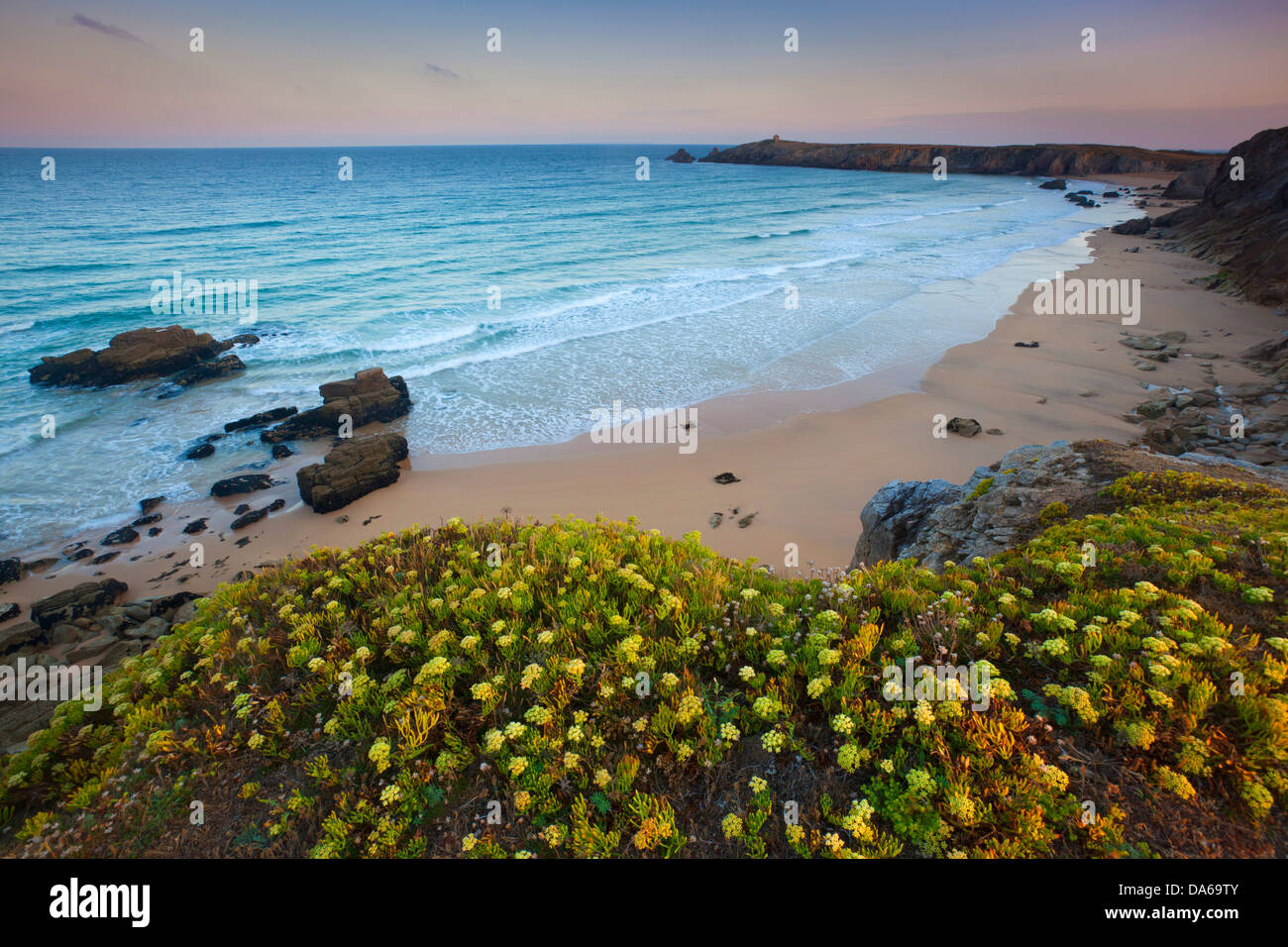La Côte Sauvage, Francia, Europa, Bretagna, dipartimento Morbihan, costa, rock, Cliff, mare, spiaggia di sabbia, vegetazione costiera Foto Stock
