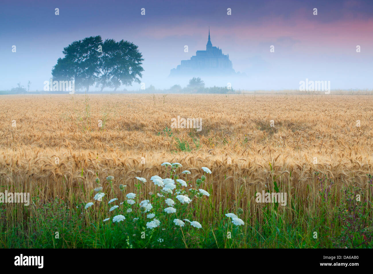 San Michel's mount, Mont Saint-Michel, mont st. Michel, Francia, Europa, Normandia, dipartimento alcuni, UNESCO, mondiale culturale herit Foto Stock