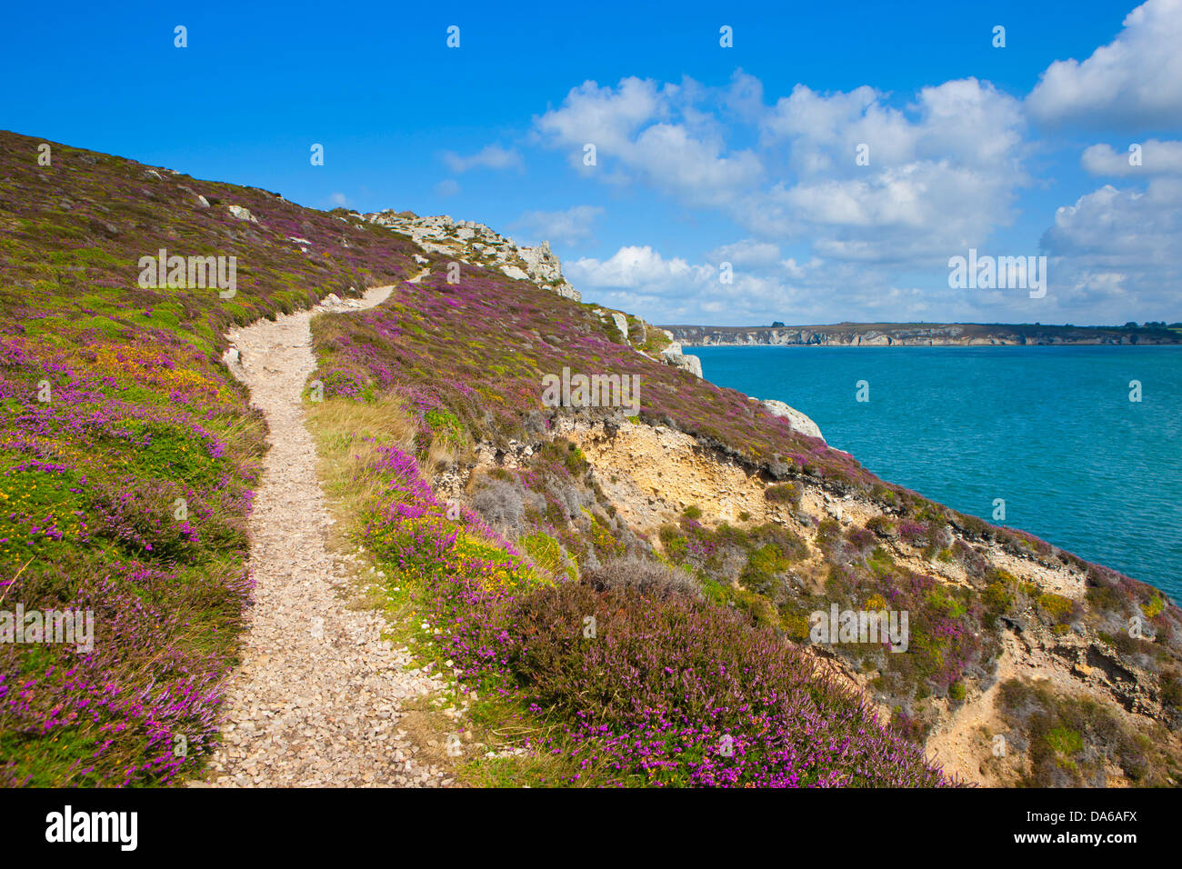 Point de Dinan, Francia, Europa, Bretagna Finistère, penisola, Crozon, costa, mare, modo, eriche Foto Stock