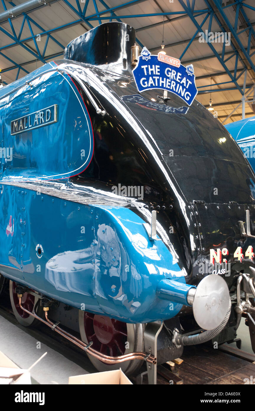 Grande raduno di A4 class locomotive a vapore al National Railway Museum di York Foto Stock