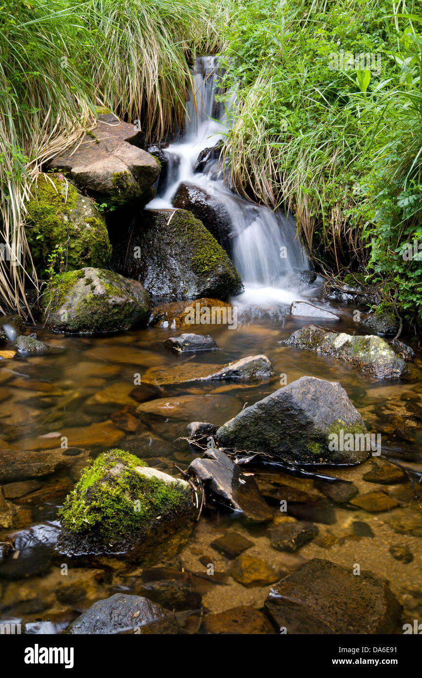 'Boggy Creek flusso che scorre sulle rocce vicino a Mt Buller, Victoria, Australia Foto Stock