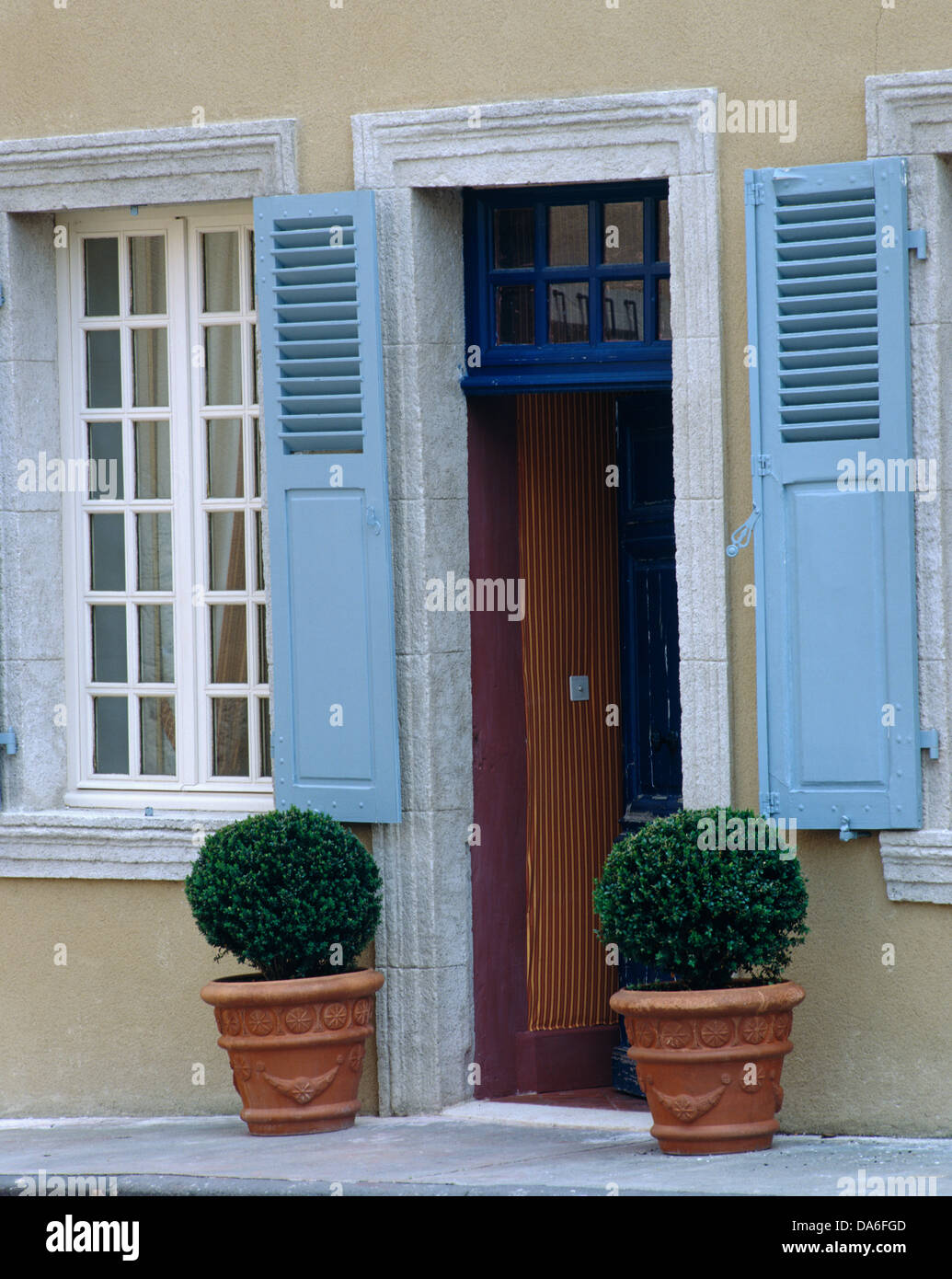 Coppia di agganciato arbusti topiaria da entrambi i lati della porta di casa con blue persiane colorate Foto Stock