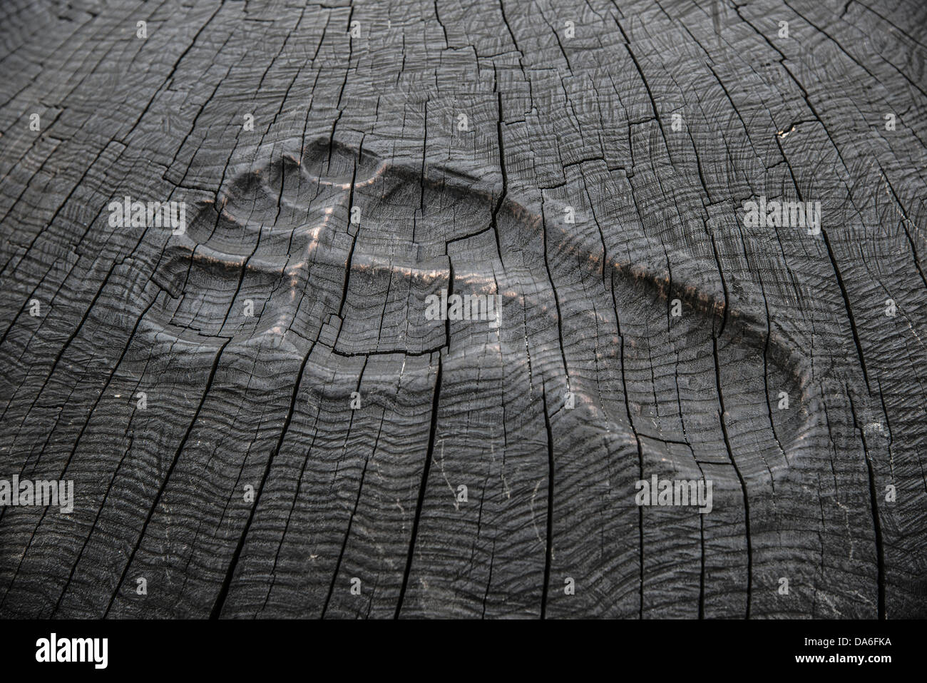 Footprint scolpita in legno sul molo Foto Stock