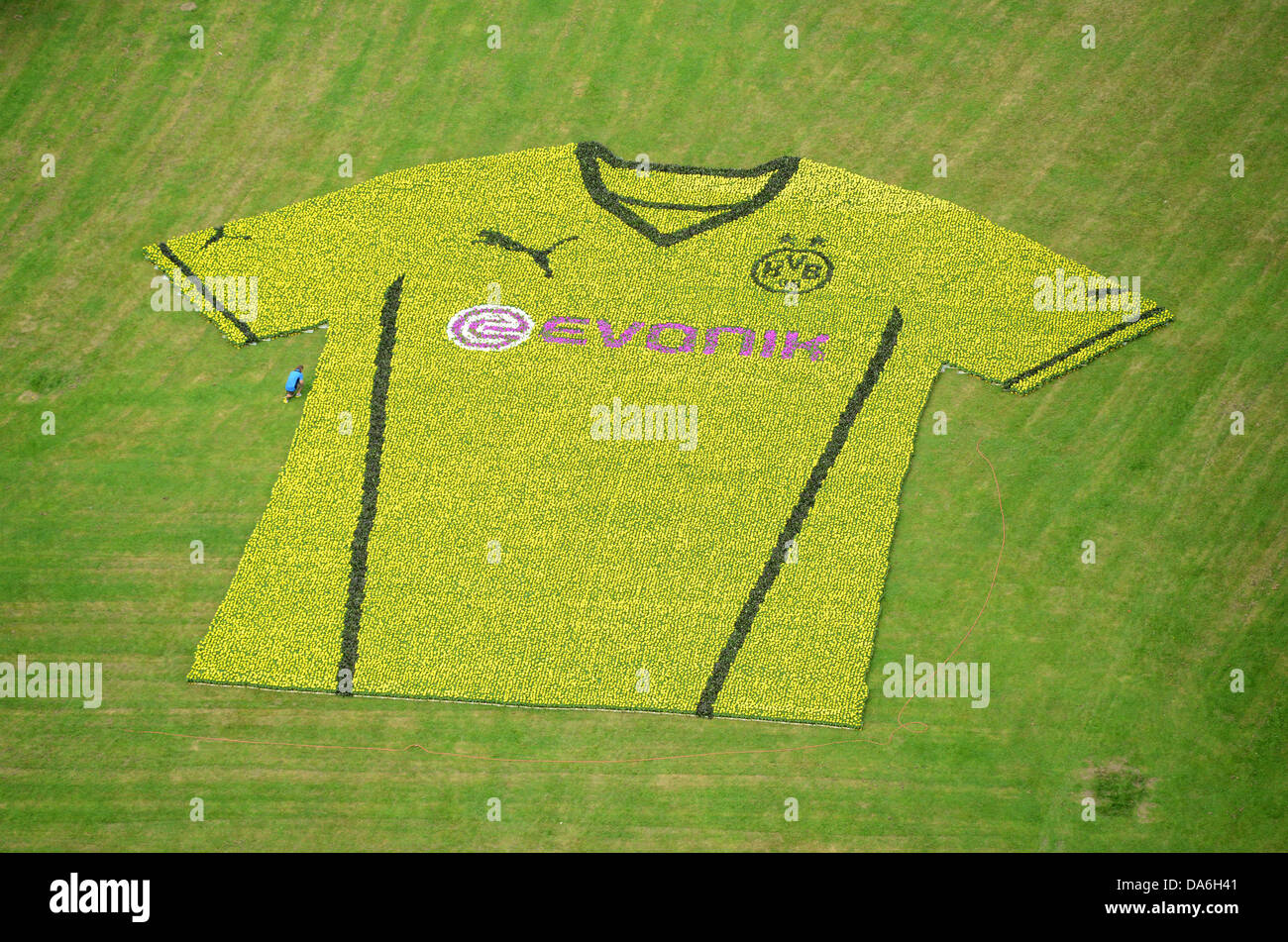 La nuova home page match jersey per il Borussia Dortmund per la stagione 2013/14 è ricreata con fiori 80645 per motivi di Westfalenpark a Dortmund, Germania, 05 luglio 2013. Foto: CAROLINE SEIDEL Foto Stock