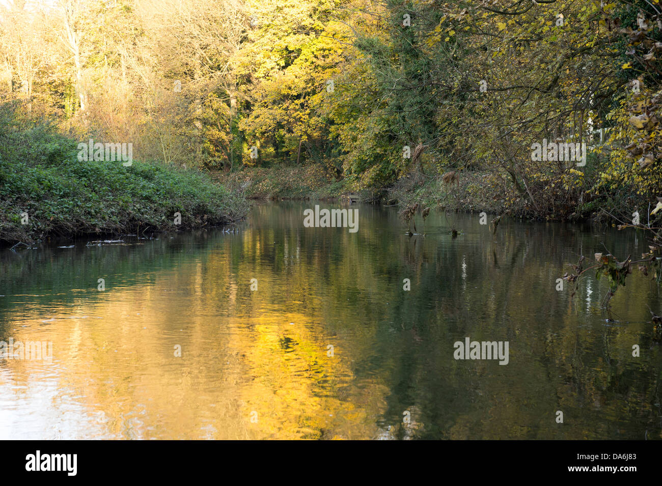 Camma del fiume a valle di Byron's Pool weir e chiusa la struttura Cambridge, Cambridgeshire, England, Regno Unito Foto Stock