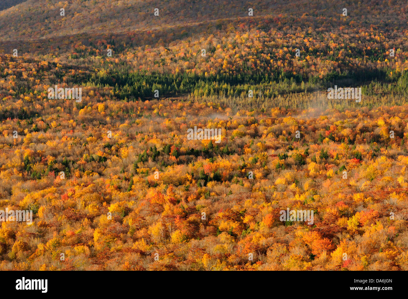 Stati Uniti d'America, Stati Uniti, America, New Hampshire, North Woodstock, Woodstock, Nord America, New England, East Coast, Grafton County, Foto Stock