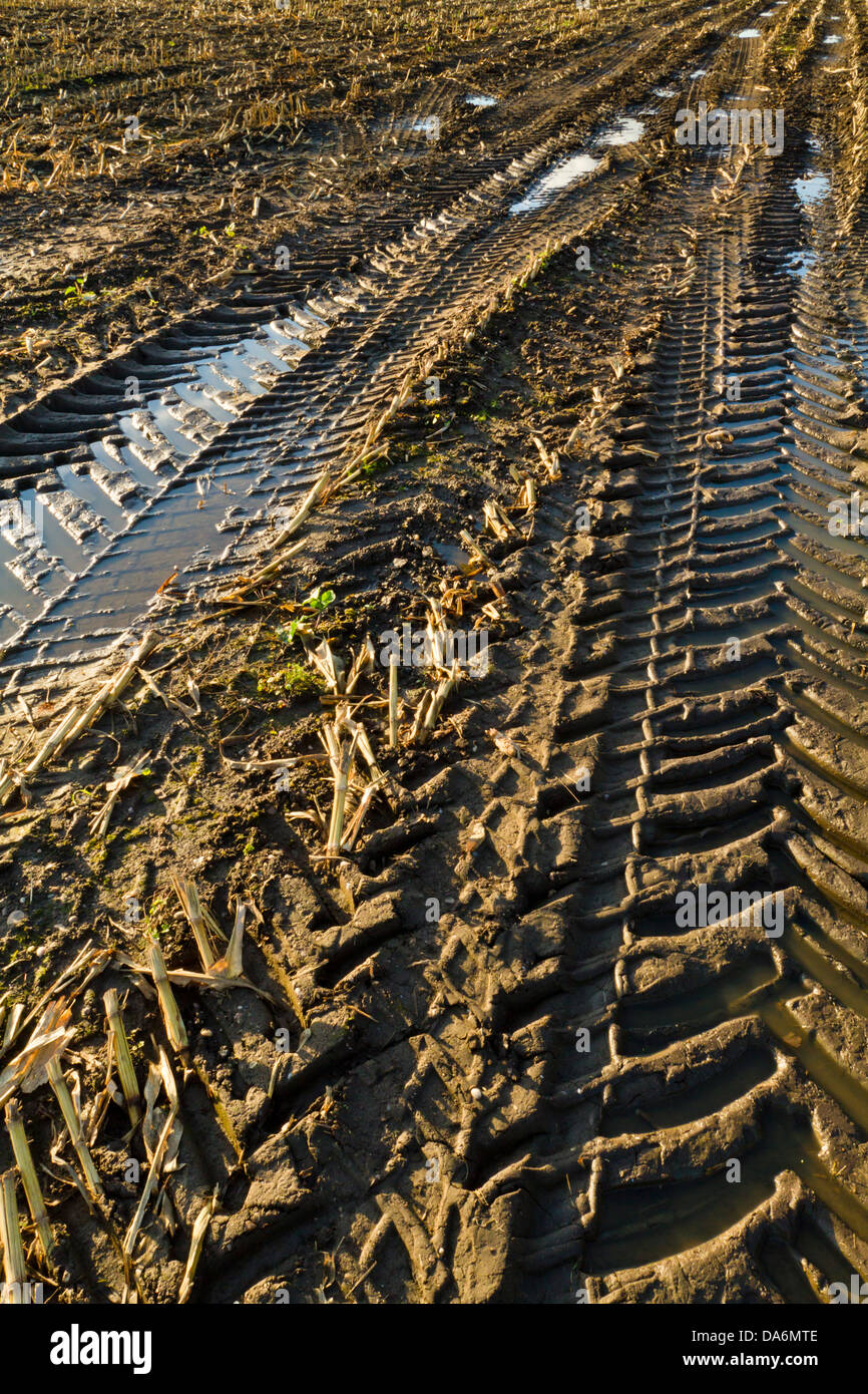 Terreni fangosi. Tracce di pneumatici nel fango creato da macchine agricole su terreni agricoli durante la mietitura, England, Regno Unito Foto Stock