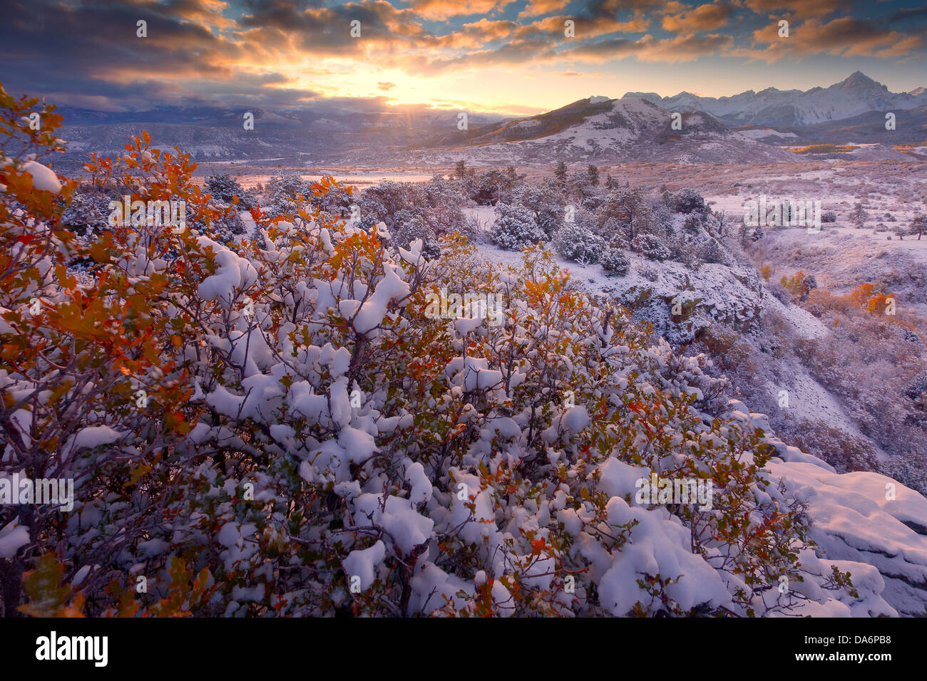 Stati Uniti d'America, Stati Uniti, America, Colorado, Autunno Autunno, alberi Autunno a colori, neve, paesaggio, tramonto Foto Stock