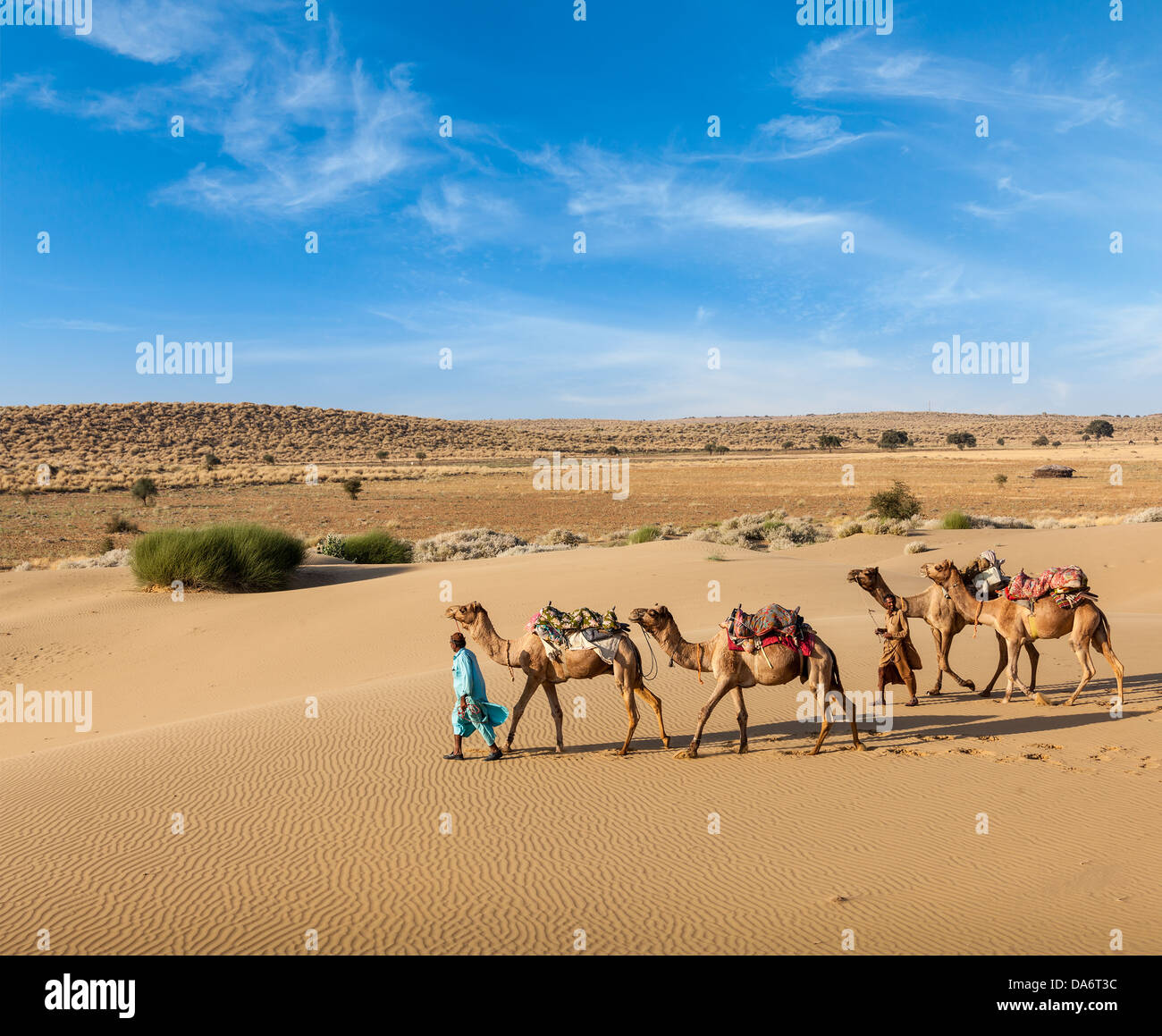 Rajasthan travel background - due indiani cameleers (camel driver) con i cammelli in dune del deserto di Thar. Rajasthan, India Foto Stock