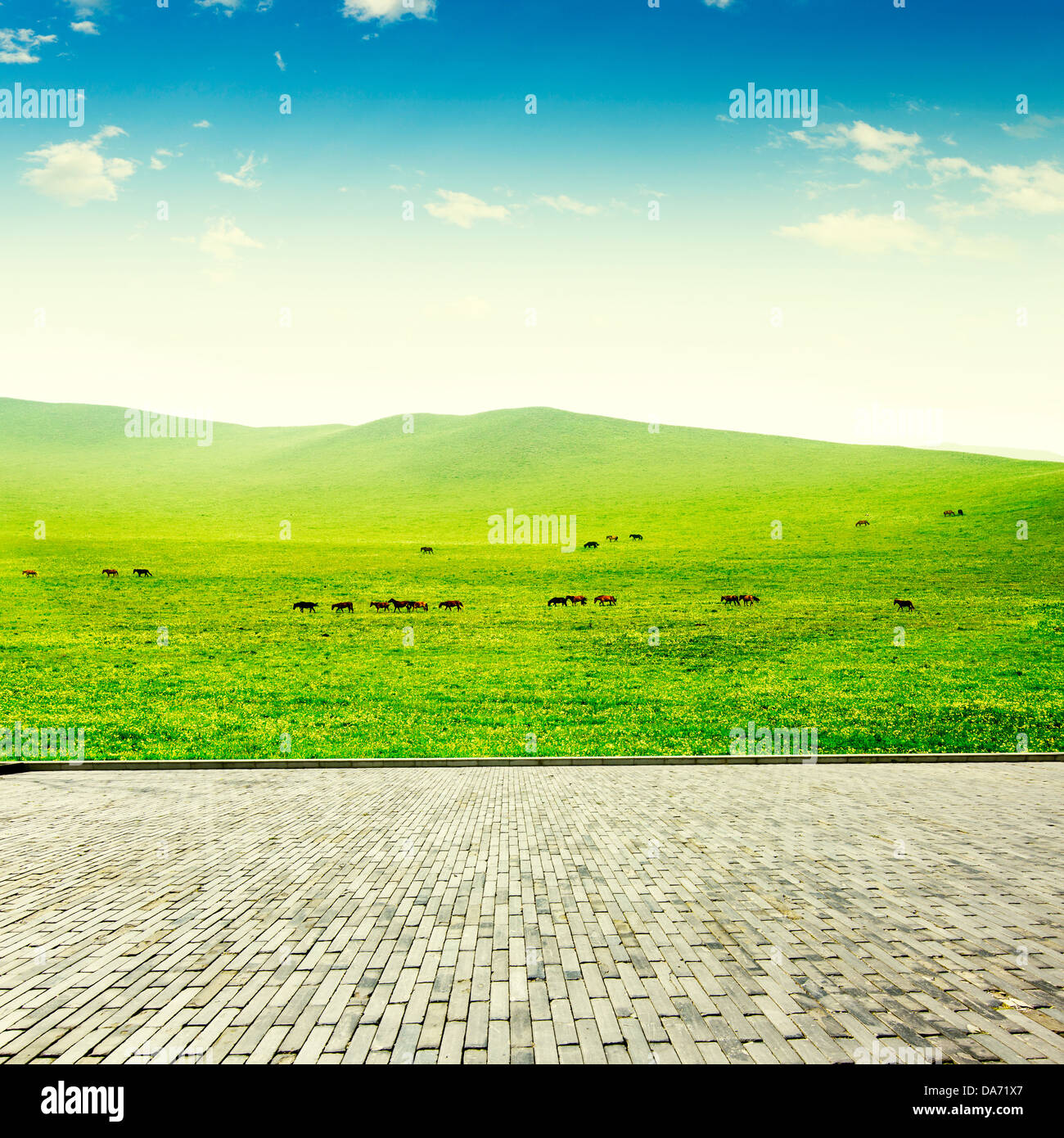 Molla di fresca erba verde con il blu del cielo e il pavimento di legno di sfondo Foto Stock