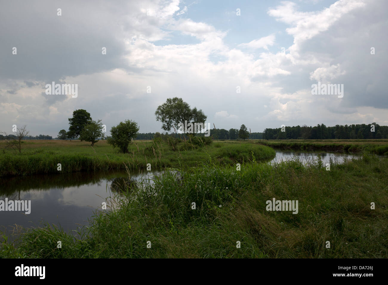 Fiume Liwiec in Polonia Foto Stock