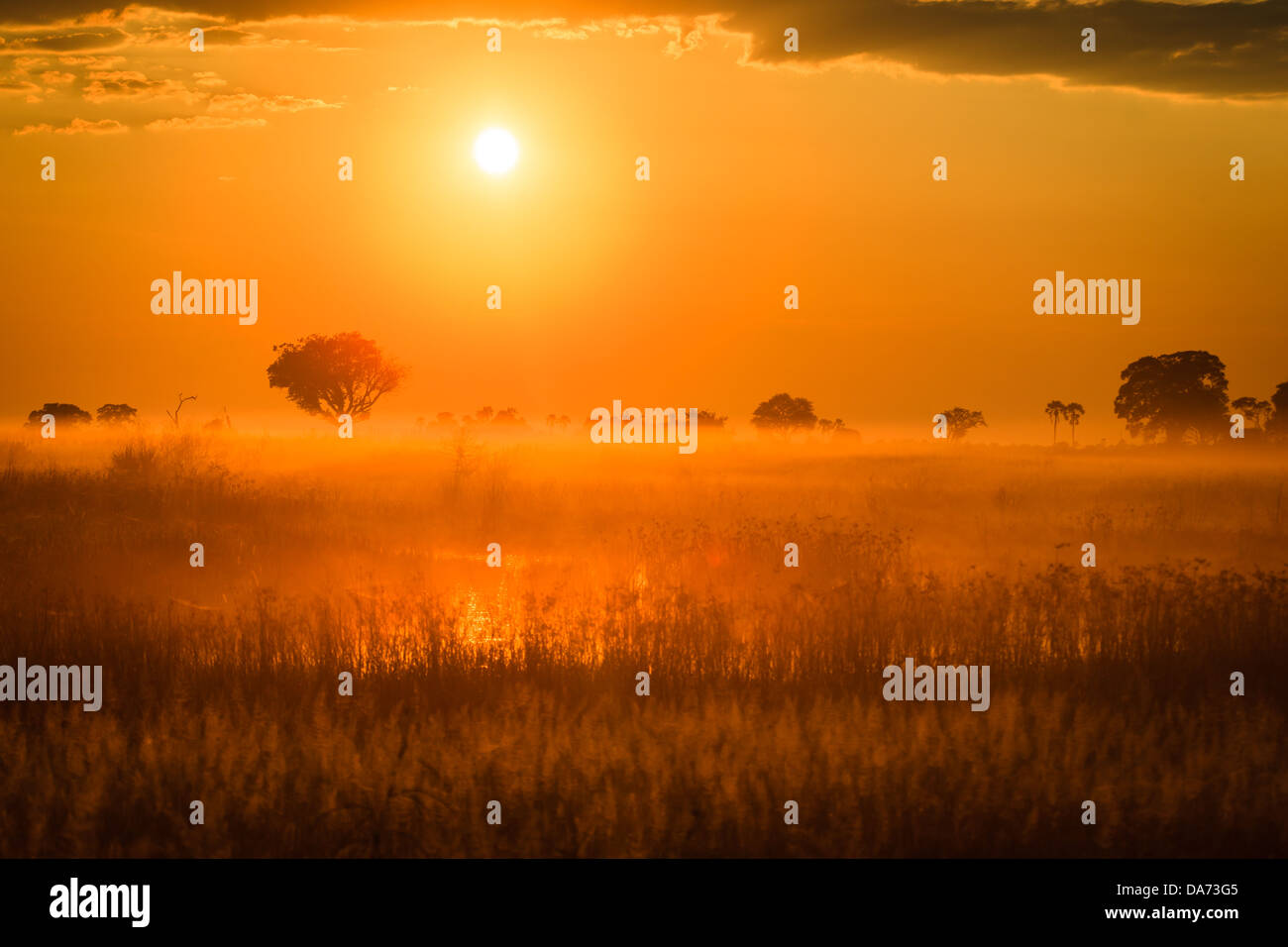Spettacolare bagliore arancione di Okavango Delta sunrise continua per impostare una palude accese come il caldo africano ardente sole sale Foto Stock