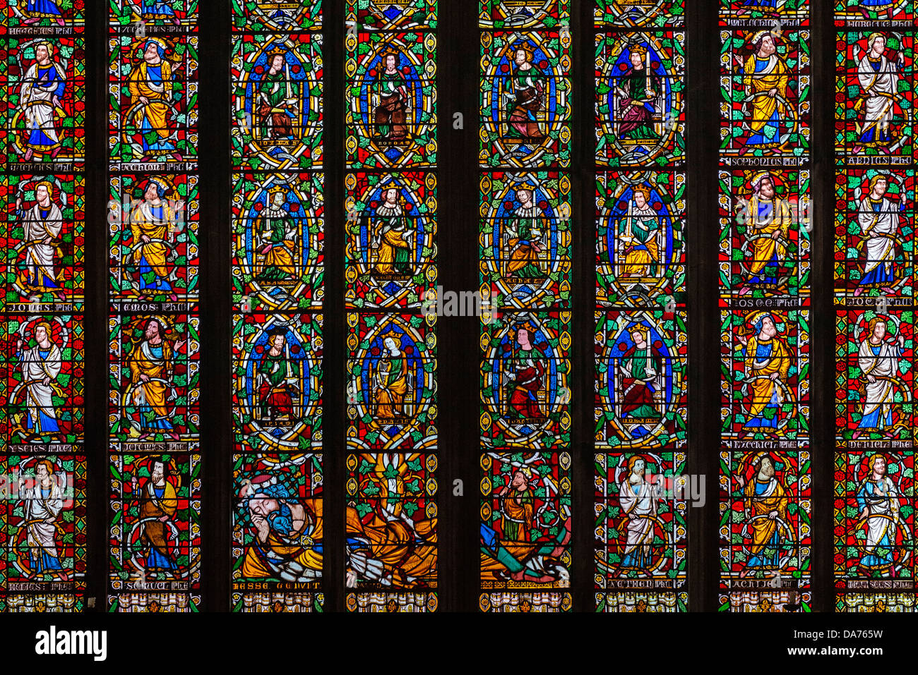La finestra di Jesse nella chiesa di Santa Maria Vergine, Shrewsbury, Shropshire Foto Stock