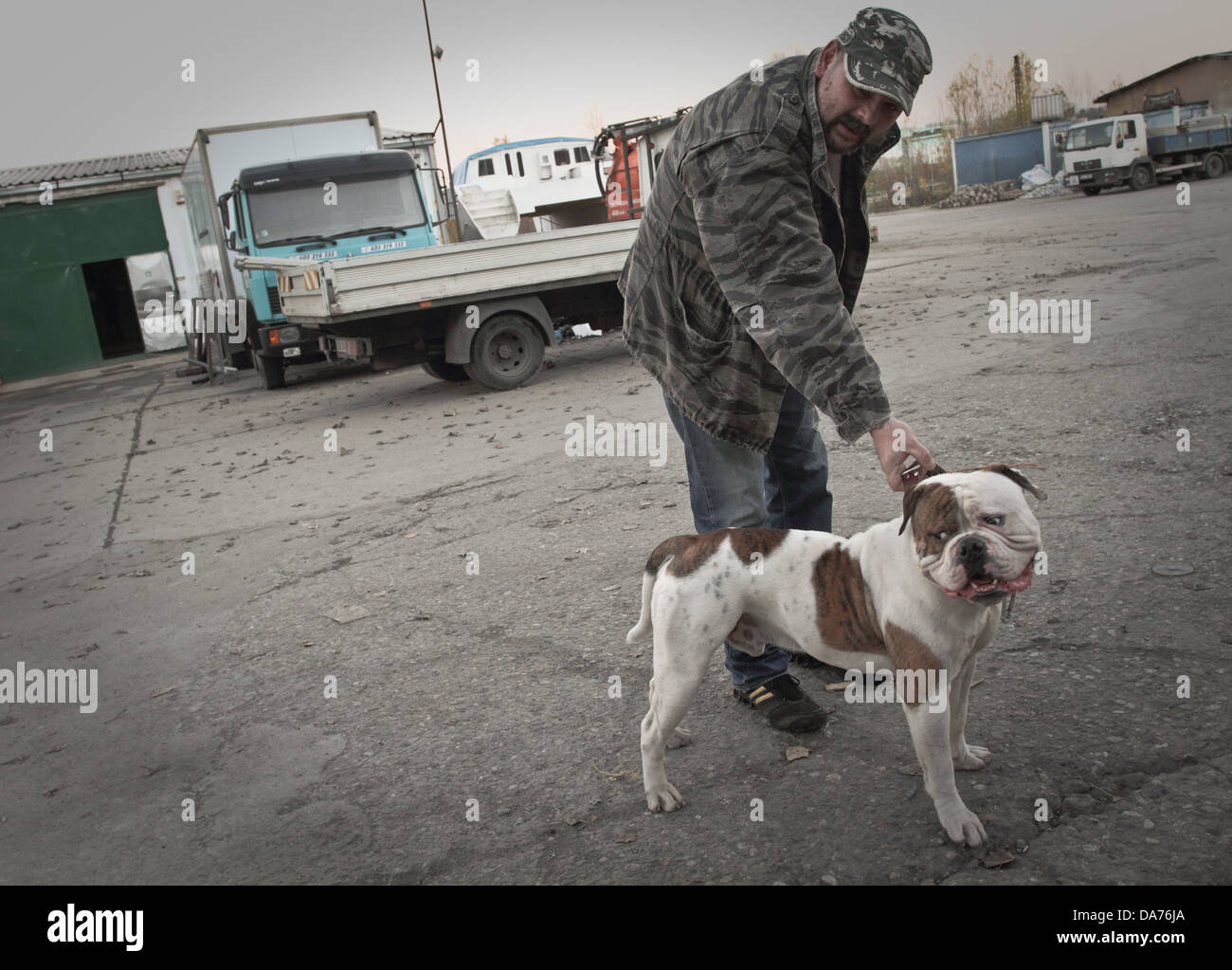 Uomo e un American Bulldog Foto Stock