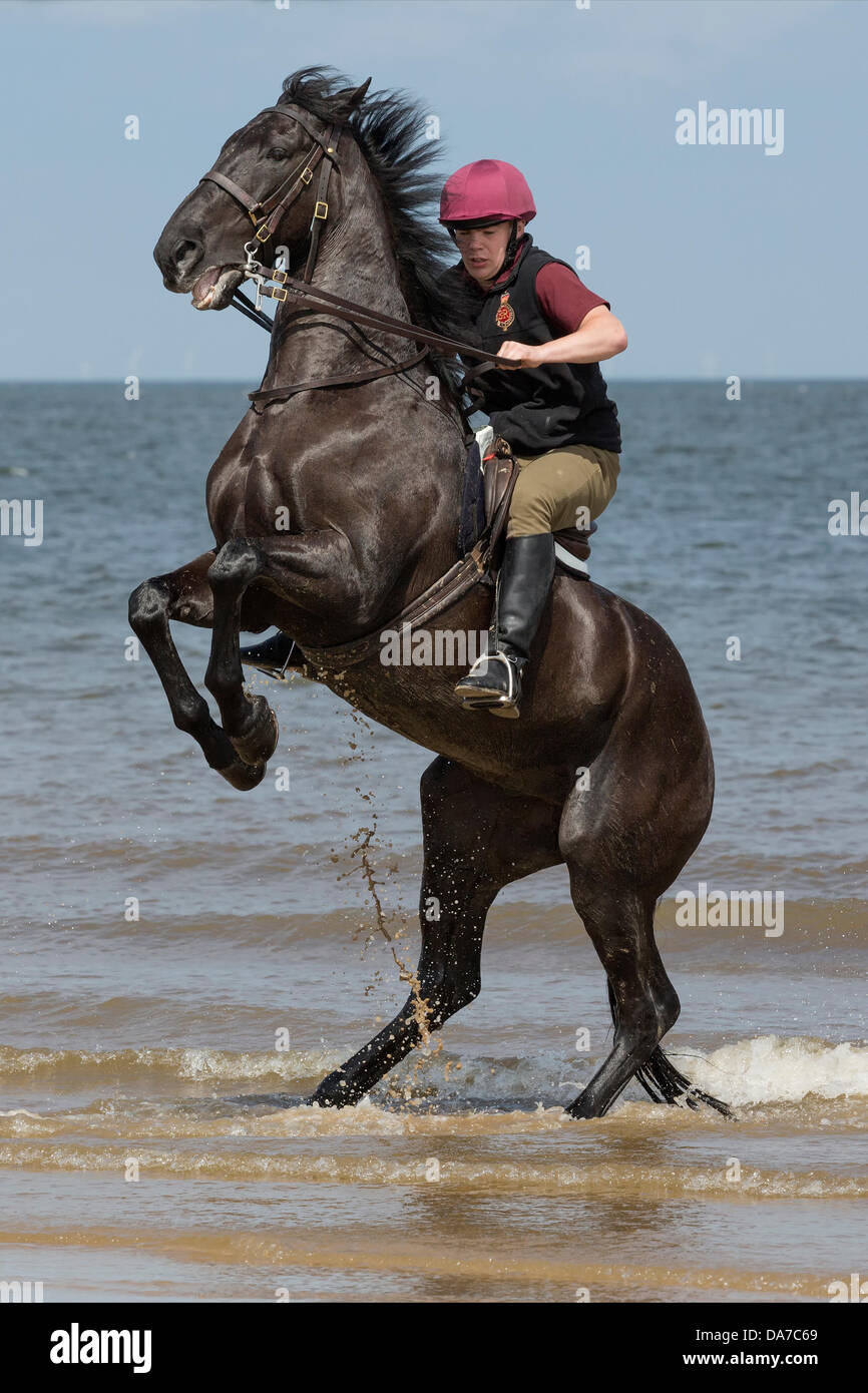 Holkham, Norfolk, Regno Unito. 4 Luglio, 2013. Cavalleria della famiglia - un soldato dei bagnini riding Warlord sulla spiaggia Holkham in North Norfolk durante il loro campo estivo annuale. Holkham. North Norfolk.England.04 luglio 2013 Credit: David Osborn/Alamy Live News Foto Stock
