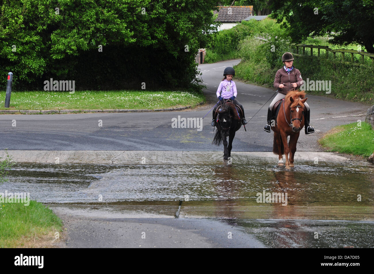 Horsesgoing attraverso la Ford a Tarrant Monkton Dorset Regno Unito Foto Stock