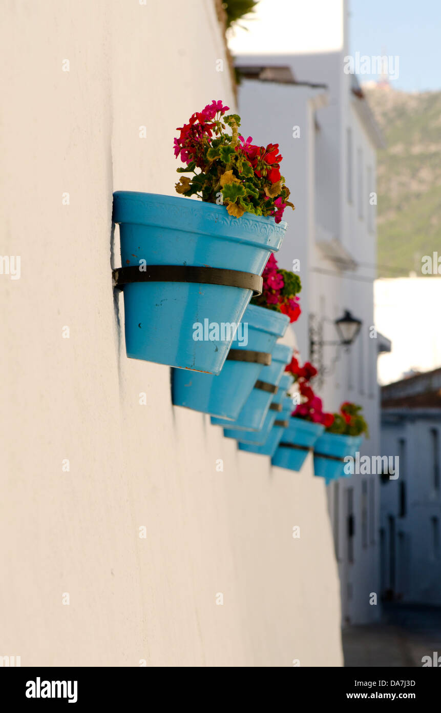 Appendere dei POT del fiore sulla parete nella bianca villaggio di Mijas Pueblo a Malaga. Costa del Sol, Andalusia, Spagna. Foto Stock