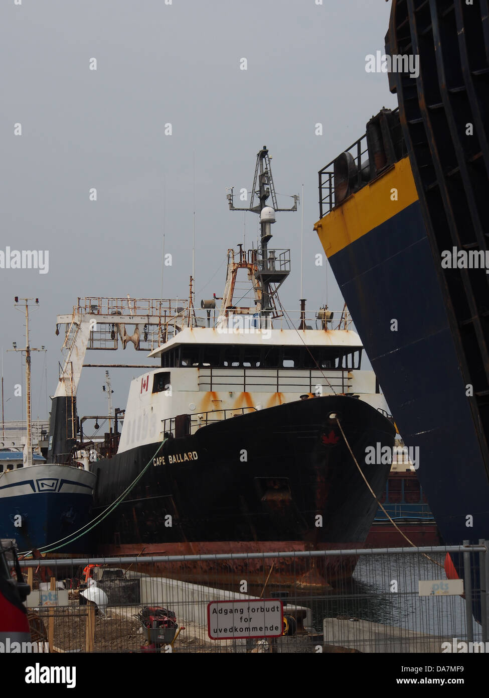 Cape Ballard (IMO 8006347), una nave da carico, è attraccata al porto di Grenaa. Questa immagine evidenzia la portata e la funzionalità delle moderne navi da carico, comunemente utilizzate nel trasporto internazionale di merci. Foto Stock