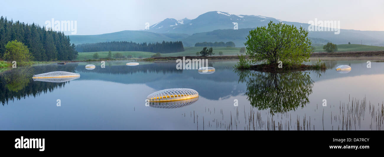 La Land Art lavoro chiamato Mégascospic Diatomee, fatta da Prisca Cosnier. Un progetto entro gli orizzonti "Natura Arts quadro 2013 Foto Stock