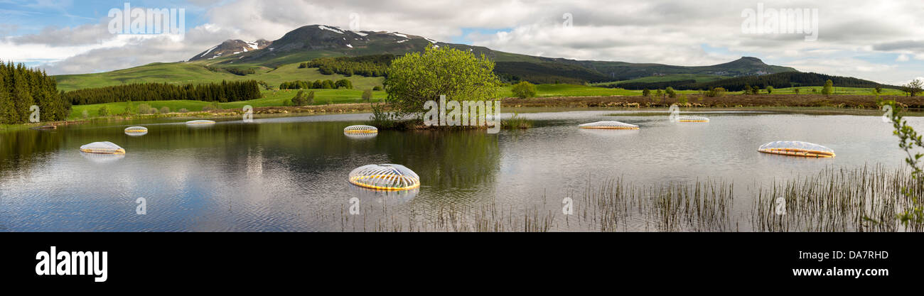 La Land Art lavoro chiamato Mégascospic Diatomee, fatta da Prisca Cosnier. Un progetto entro gli orizzonti "Natura Arts quadro 2013 Foto Stock