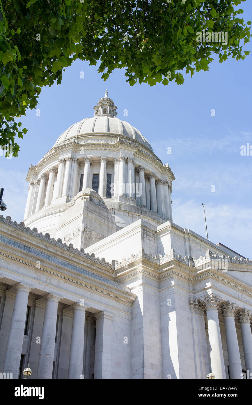 Washington State Capitol Building cupola in Olympia incorniciato dalla chioma Foto Stock