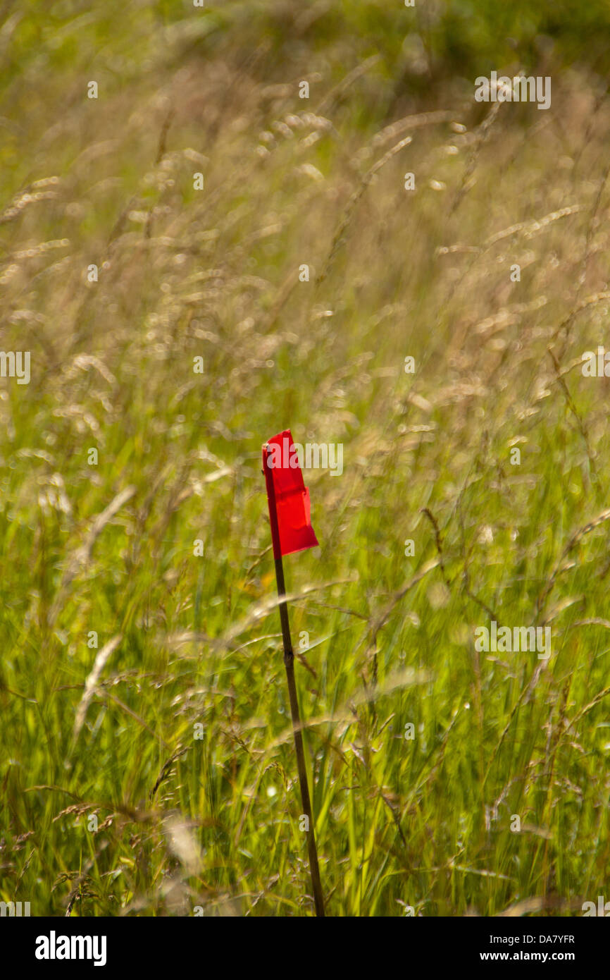 Marcatore in un campo di erba. Foto Stock