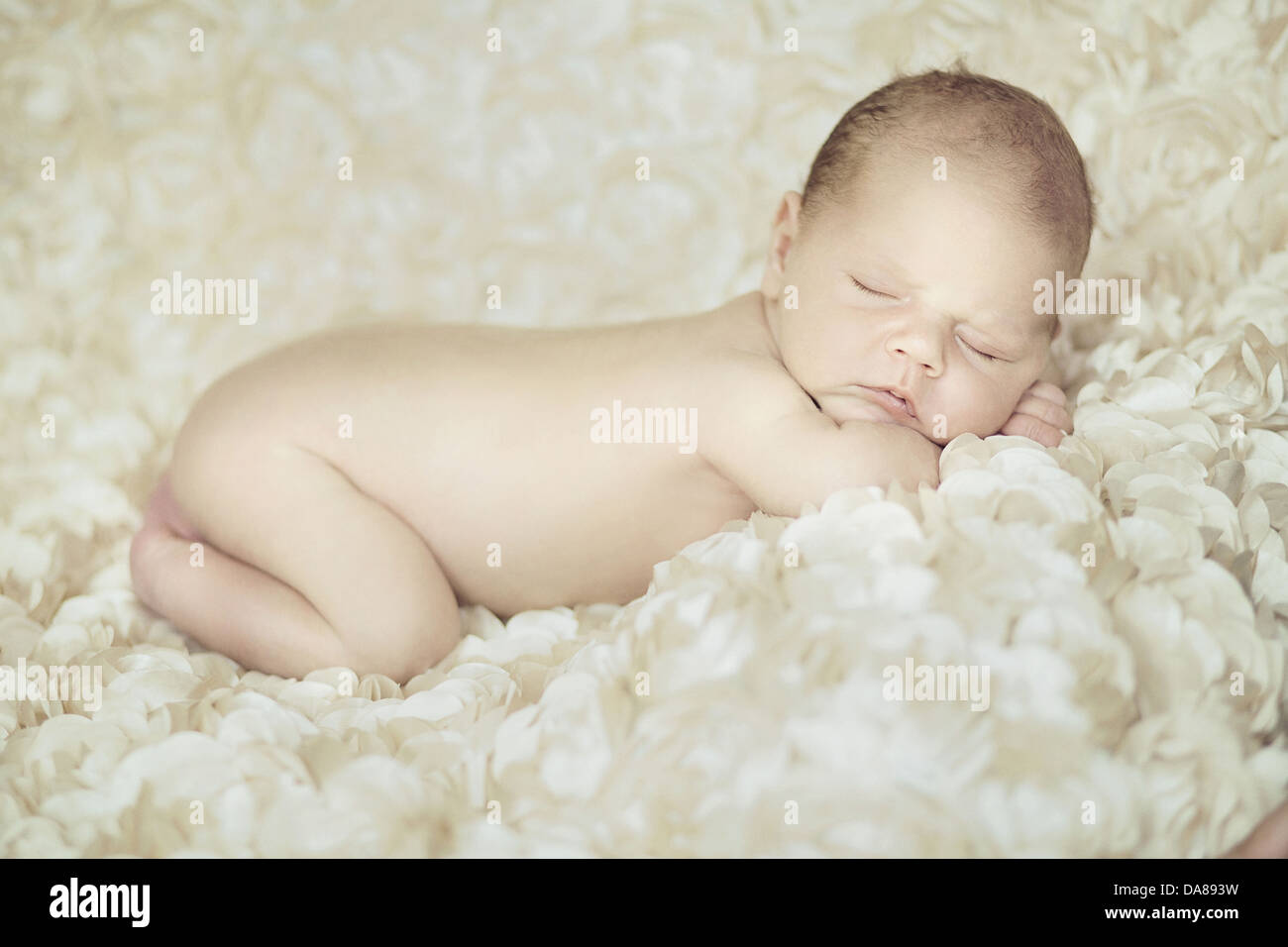 Ritratto di neonato dormire su petali di colore bianco Foto Stock