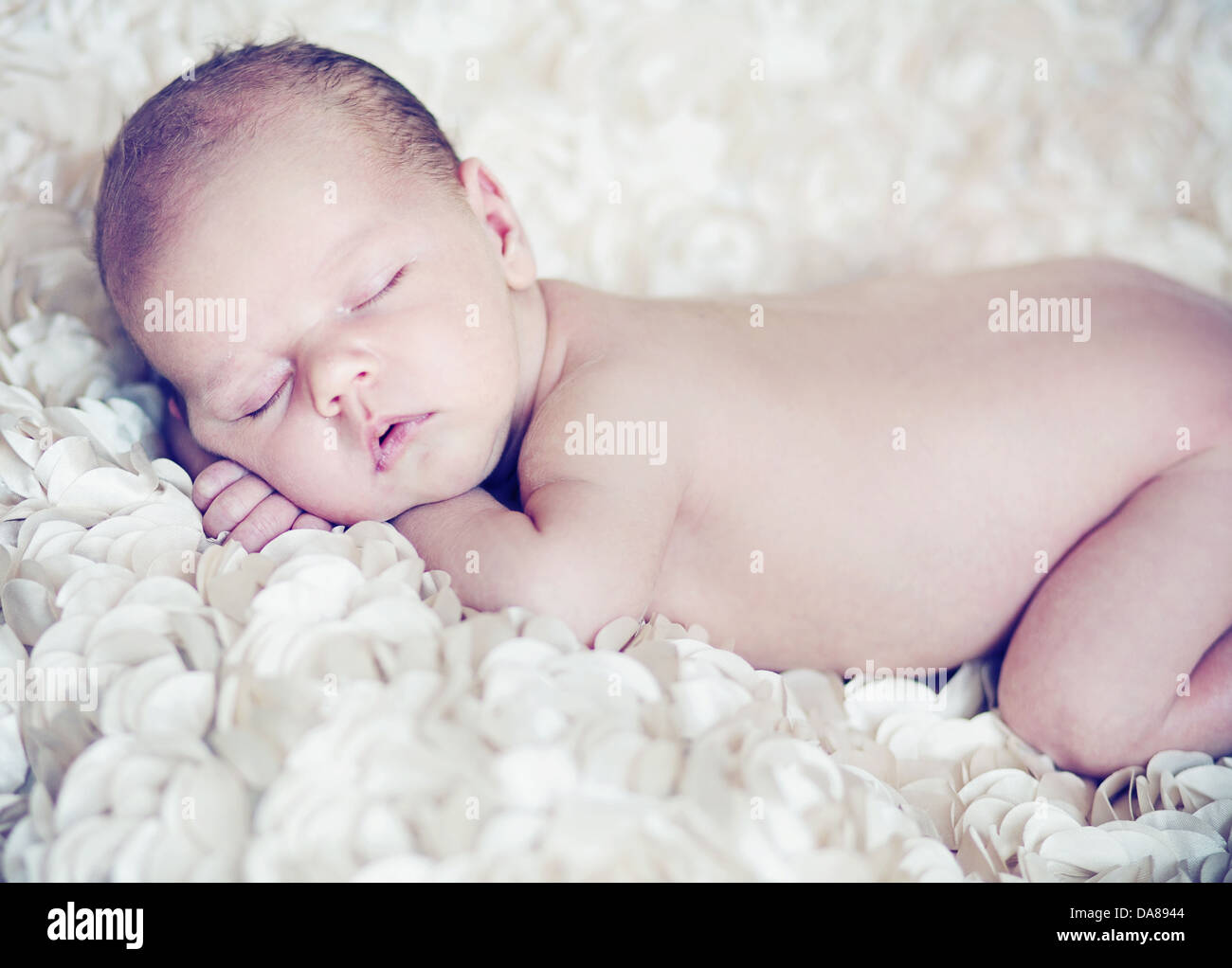 Carino il bambino dorme in soffici petali di colore bianco Foto Stock