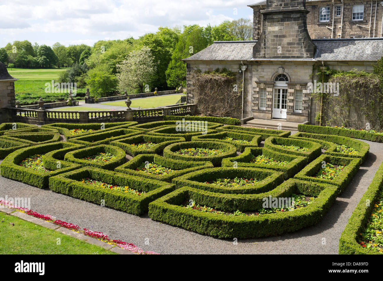 Topiaria da siepi nel giardino di casa Pollok, Glasgow, Scozia Foto Stock