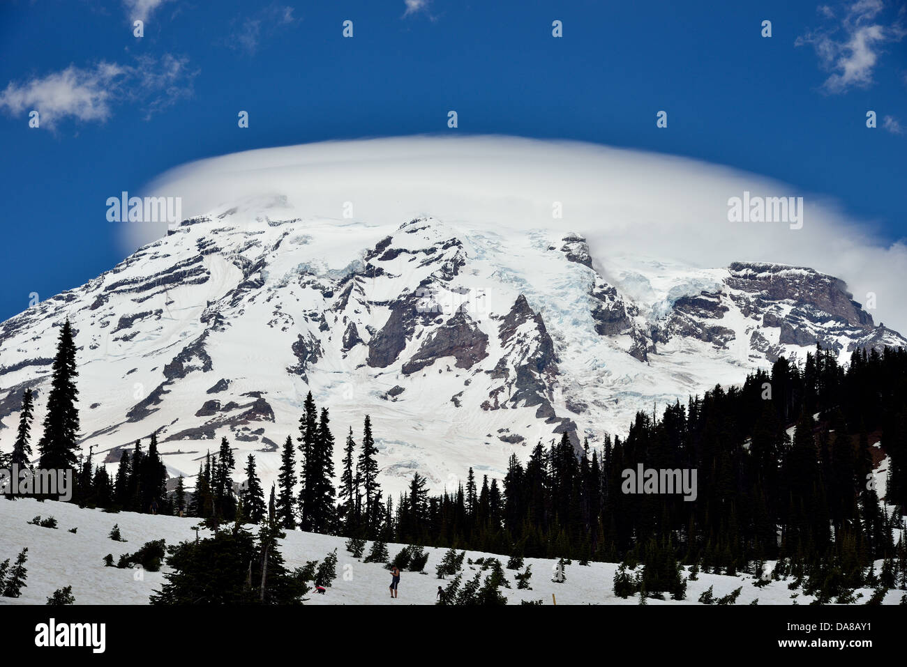 Nuvole lenticolari circondano la vetta del Monte Rainier. Mt. Rainier National Park, Washington, Stati Uniti d'America. Foto Stock