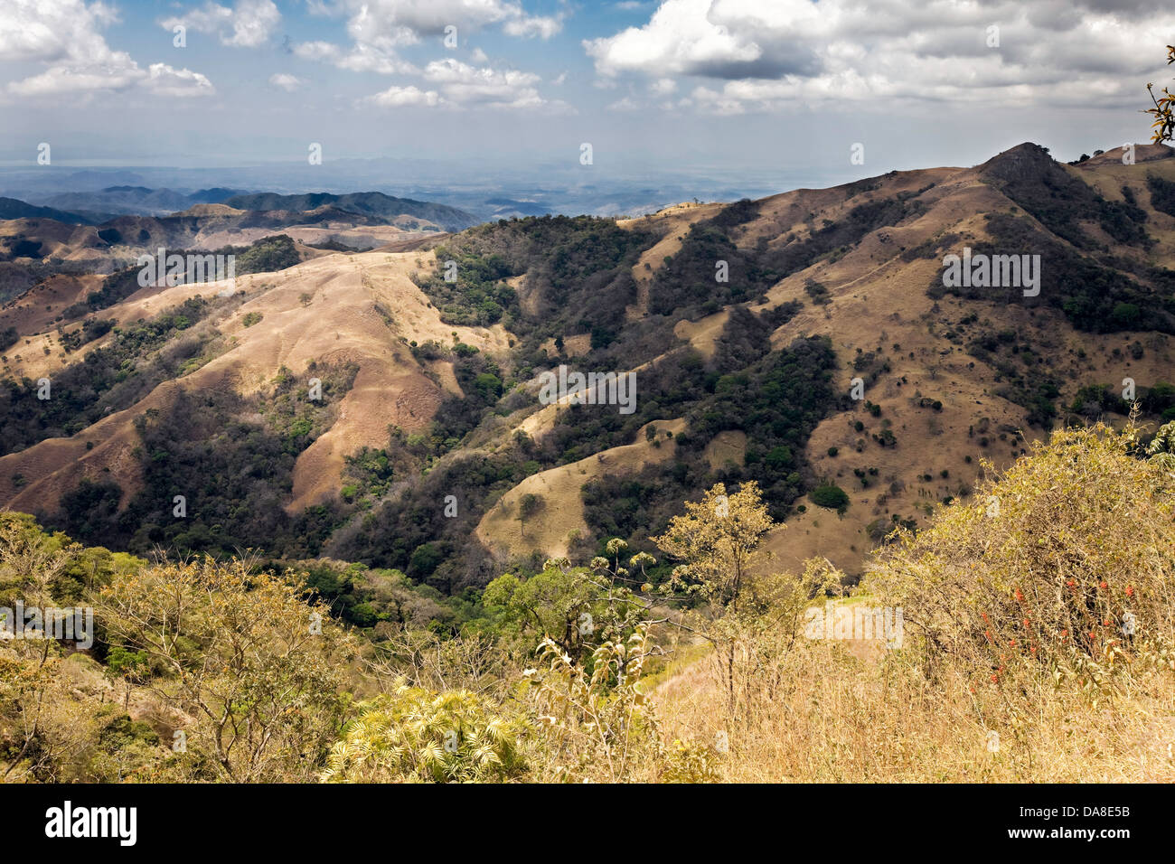 Costa Rican Campagna, Centrale Regione del Pacifico Foto Stock