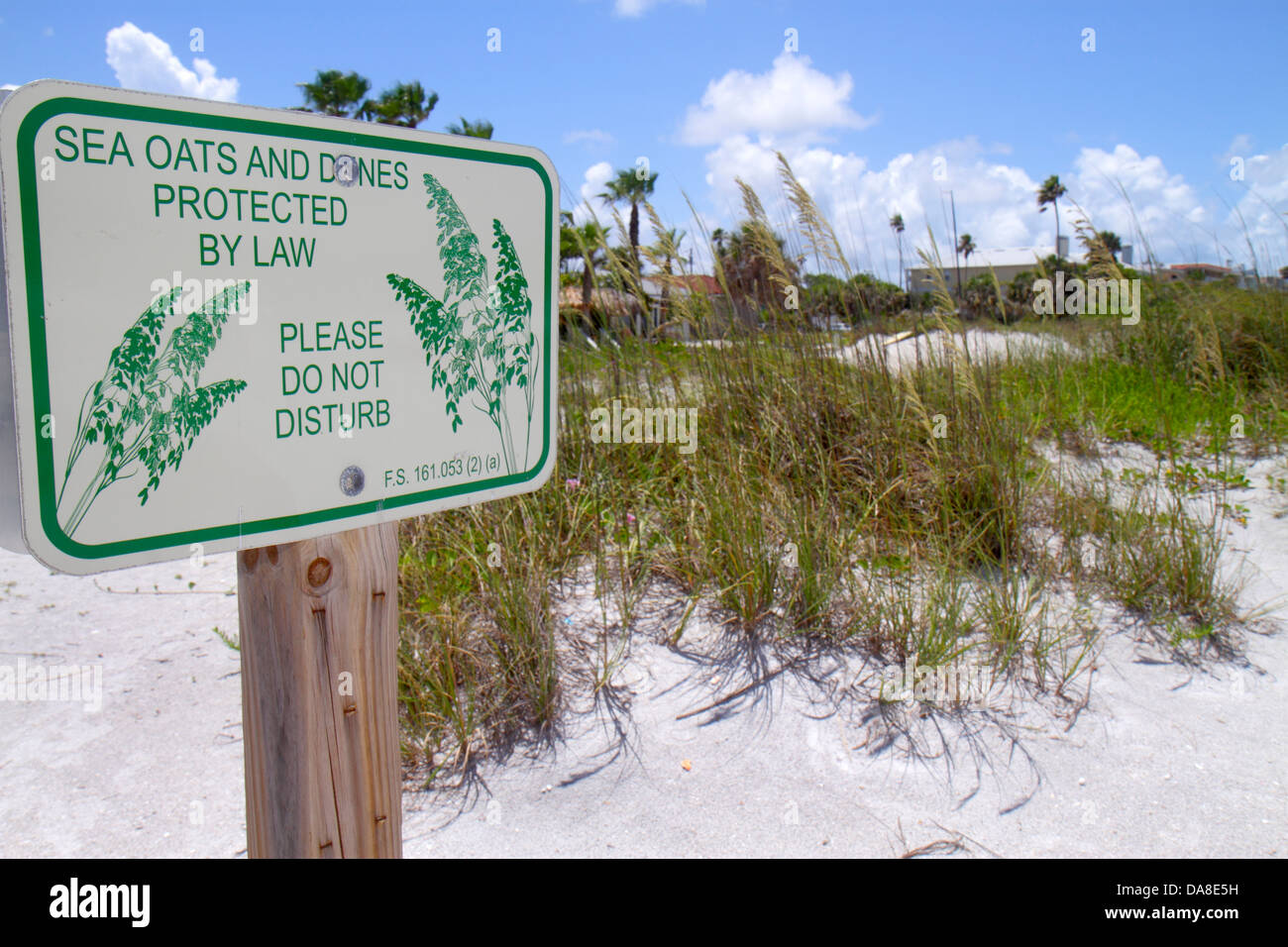 San Pietroburgo Florida,Indian Rocks Beach,sabbia,dune grass,avena di mare,protetto dalla legge,segno,logo,visitatori viaggio viaggio turistico turismo lan Foto Stock