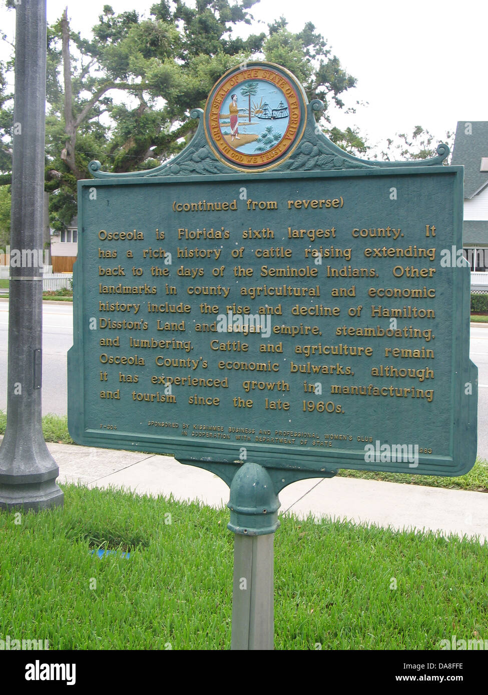 OSCEOLA COUNTY Osceola è Florida di sesta contea più grande. Esso ha una ricca storia di allevamento del bestiame che si estende indietro ai giorni di Indiani Seminole. Altri luoghi di interesse nella contea agricola e di storia economica includono il sorgere e il declino di Hamilton Disston's Land e zucchero impero, steamboating e macchinoso. Bestiame e agricoltura restano Osceola County's murate economica, anche se ha registrato una crescita nel settore manifatturiero e turistico a partire dalla fine degli anni sessanta. Foto Stock