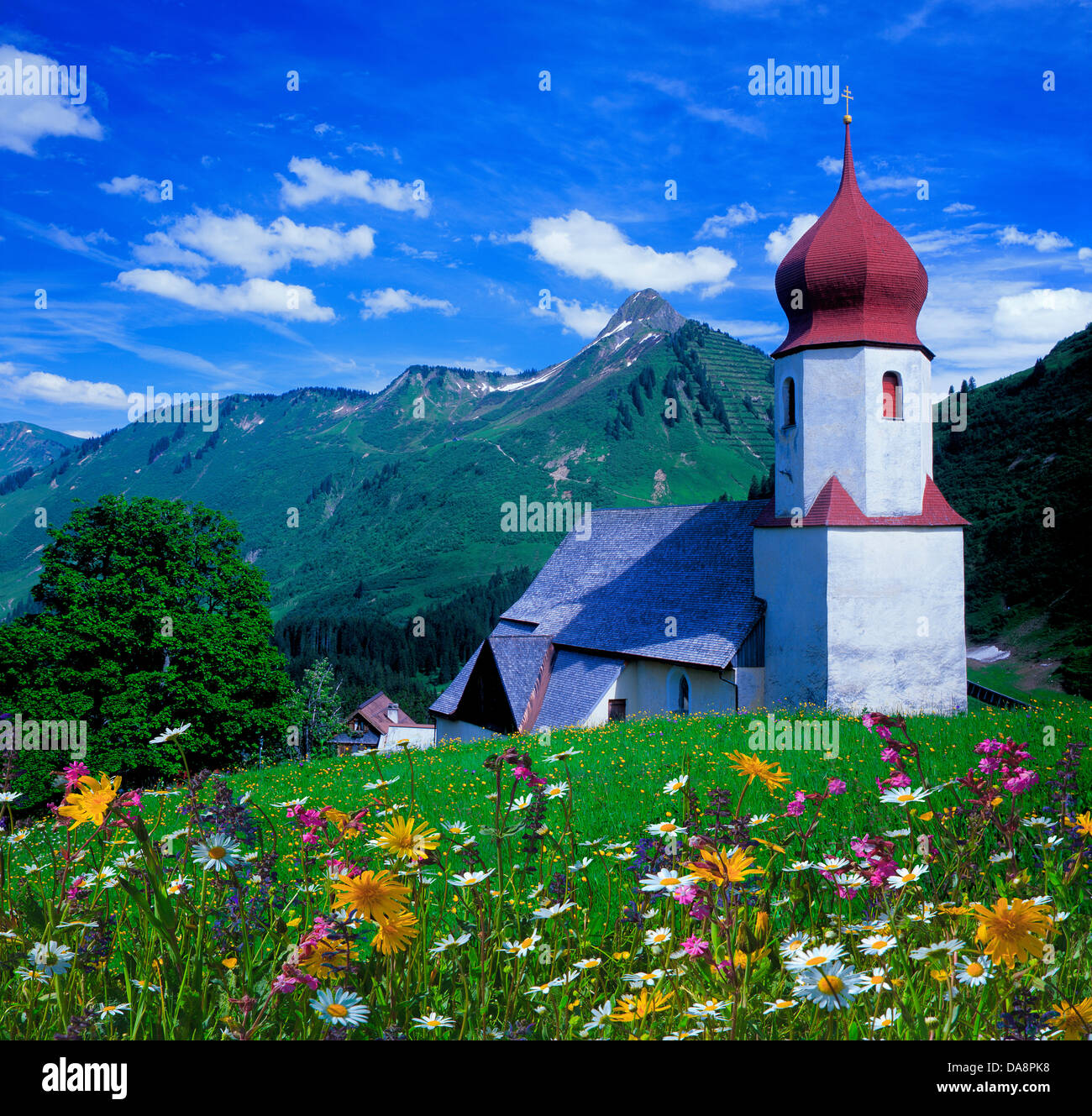 Austria, Europa, Vorarlberg, Bregenzerwald, Damüls, estate, chiesa, chiesa di montagna, prato, fiori di prato, marguerites, alberi, Foto Stock