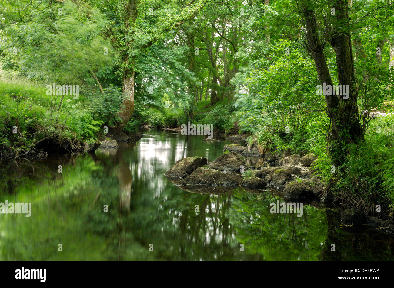 Fiume Teign estate nel parco nazionale di Dartmoor Devon UK Foto Stock