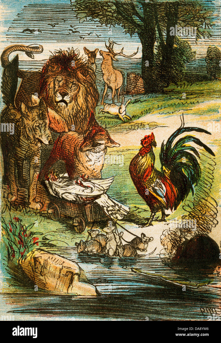 Morte di un pollo da un edizione di Berlino di Grimms' Favole, 1865. Colore originale illustrazione Foto Stock