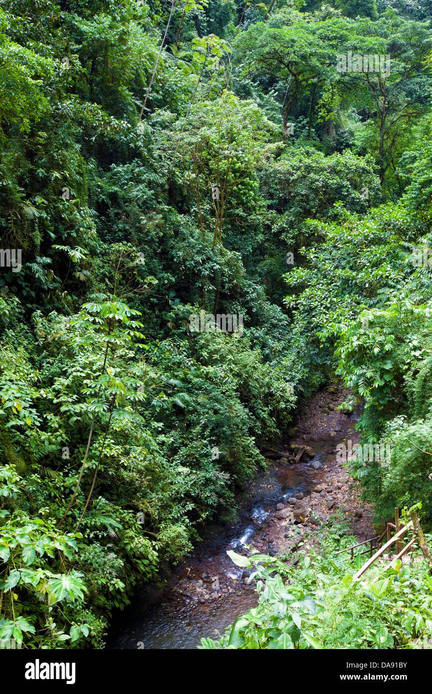 Rainmaker progetto di conservazione, Costa Rica Foto Stock