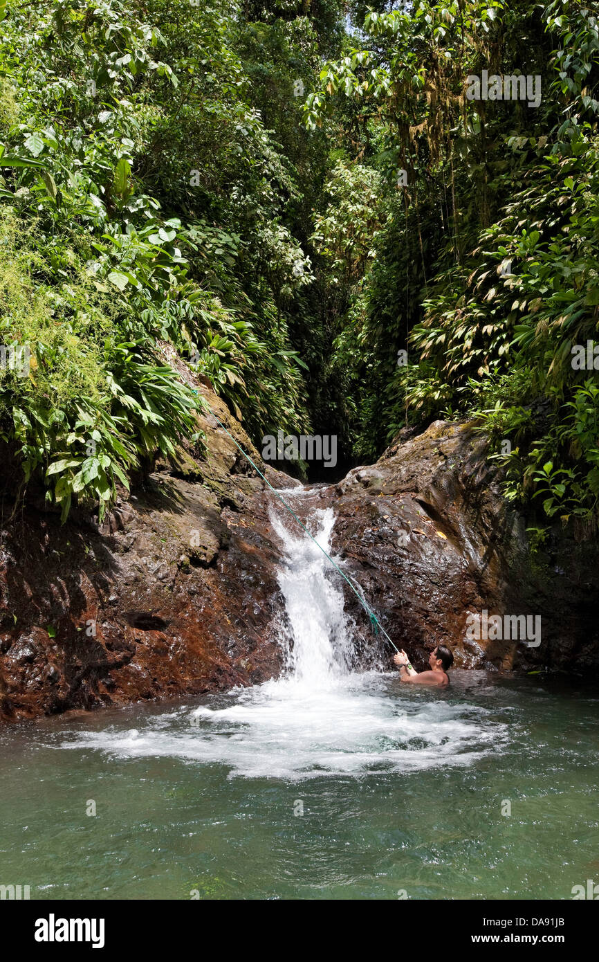 Foro di nuoto, Rainmaker progetto di conservazione, Costa Rica Foto Stock