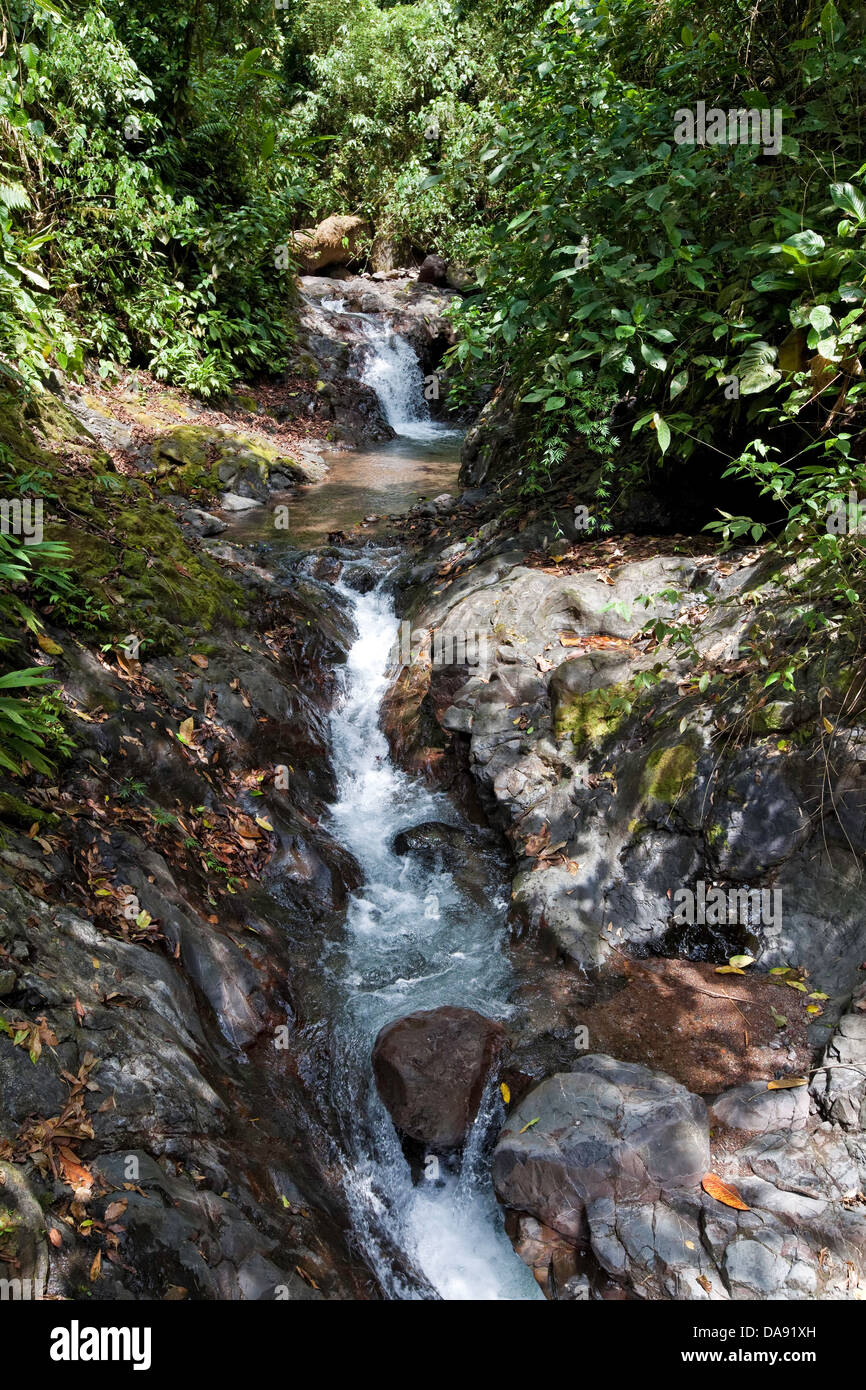 Rainmaker progetto di conservazione, Costa Rica Foto Stock